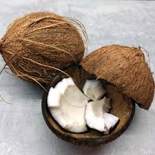 Brown Florida Coconuts - USDA Organic
