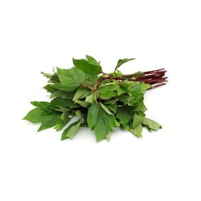 Gongura Organic