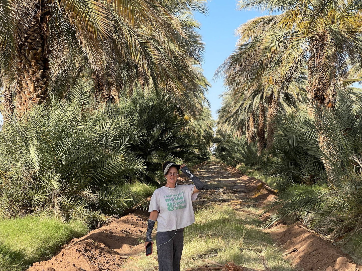 California Medjool Dates Organic