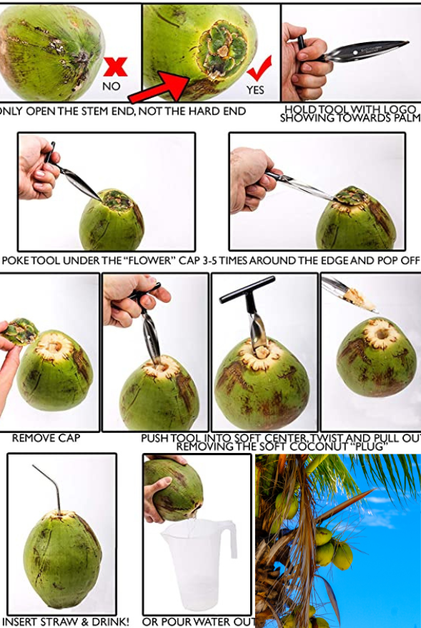 USA Juicing Coconuts – Organic (Water & Meat)