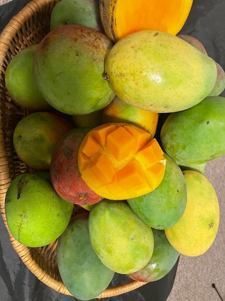 South Florida Mangoes – USDA Organic