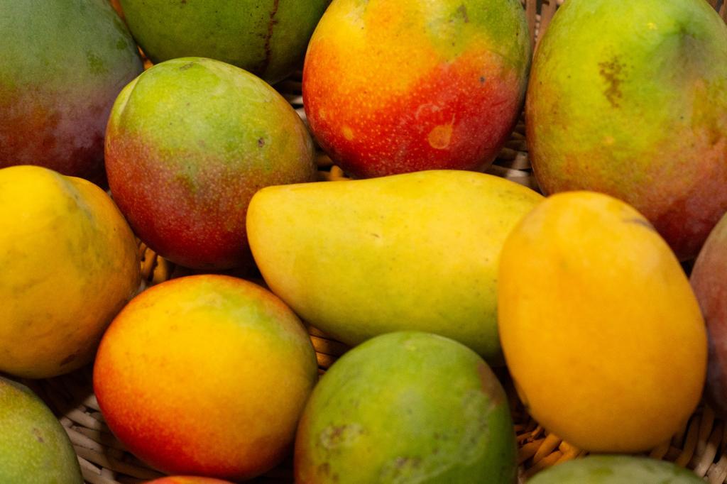South Florida Mangoes – USDA Organic
