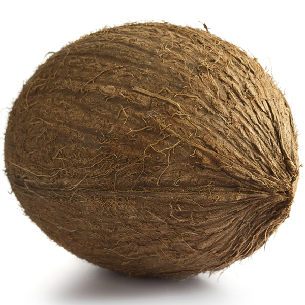 Brown Florida Coconuts - USDA Organic