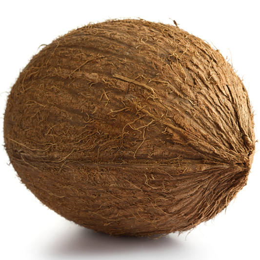 Brown Florida Coconuts - USDA Organic